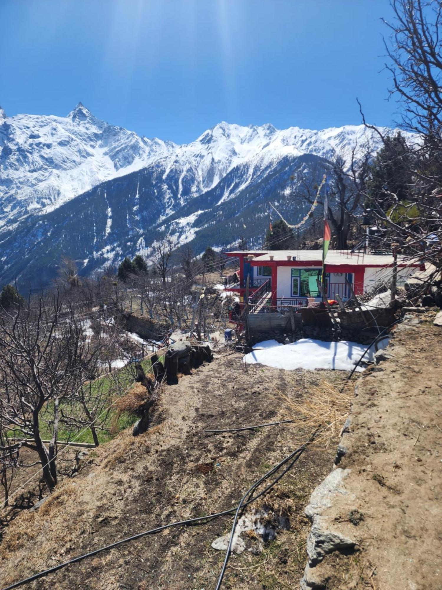 Safarnama Retreat Homestay - All Rooms With Mountain View كالبا المظهر الخارجي الصورة